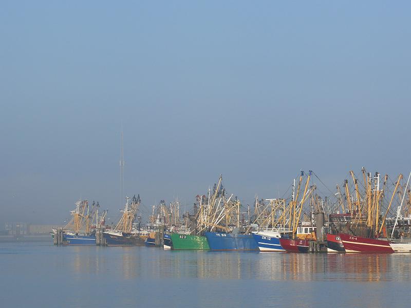 p1030466.jpg