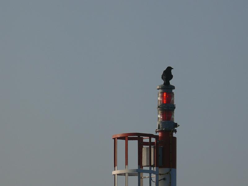 p1030480.jpg