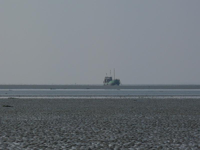 p1030529.jpg