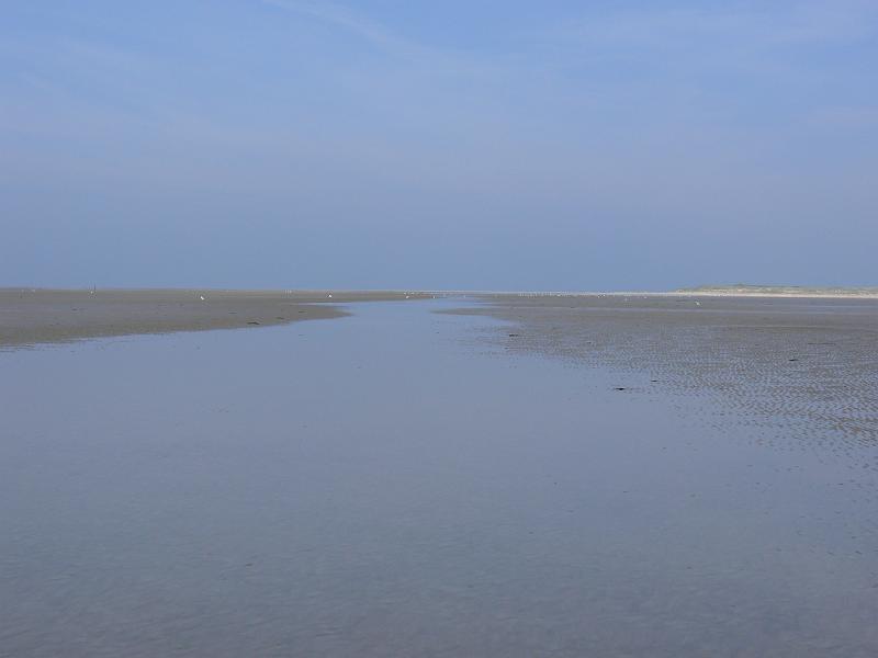 p1030530.jpg