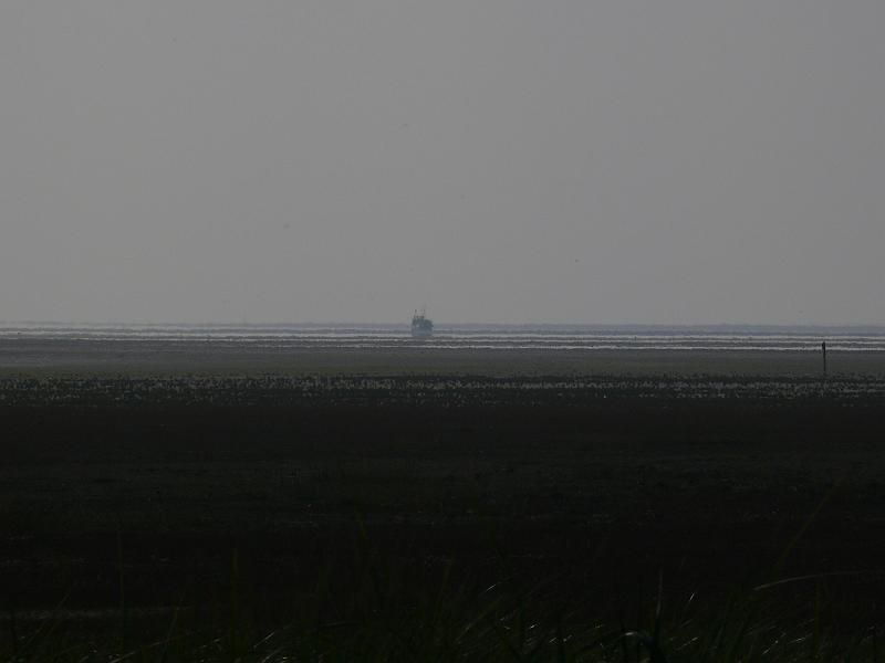 p1030558.jpg