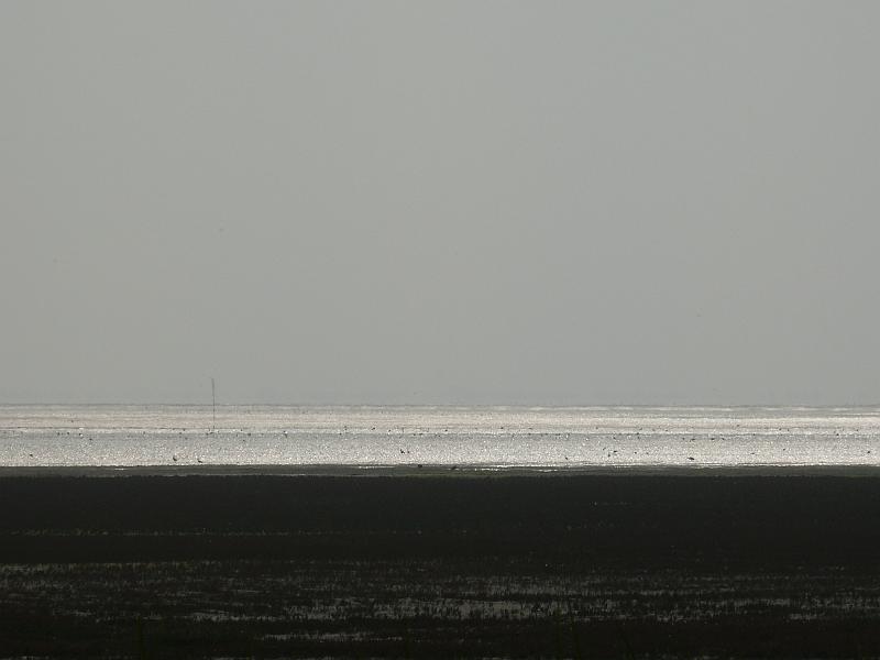 p1030560.jpg