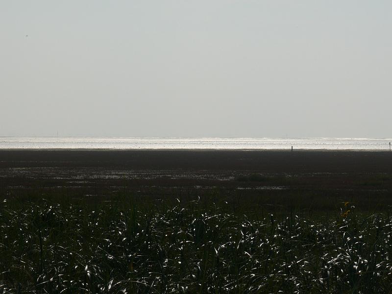 p1030561.jpg