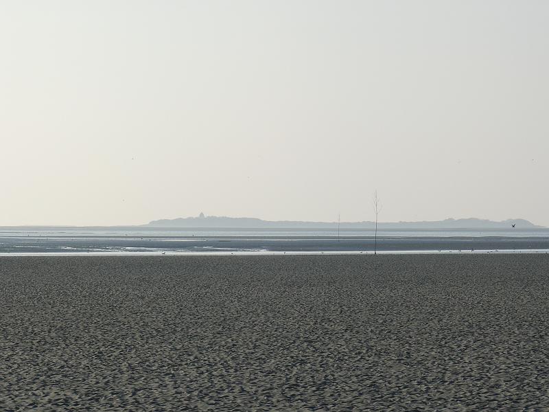 p1030607.jpg